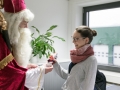 Nikolaus und Krampus Fa.Hymer (13)
