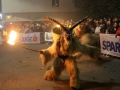 Bregenzer-Krampuslauf-2019_CF-146