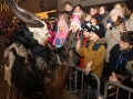 Bregenzer-Krampuslauf-2019_CF-36