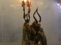 Bregenzer-Krampuslauf-2019_CF-78