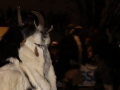 Bregenzer-Krampuslauf-2019_MB-156