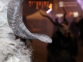 Bregenzer-Krampuslauf-2019_MB-64