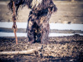 20240309-_DSC6686