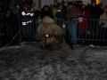 Krampuslauf Bregenz 2012 (60)