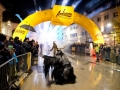 Krampuslauf Bregenz 2013 (1)