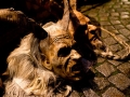 Krampuslauf Bregenz 2013 (5)