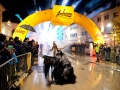 Krampuslauf Bregenz 2013 (72)
