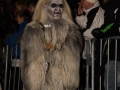 Krampuslauf 2016 Bregenz (145)