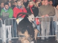 Krampuslauf 2016 Bregenz (159)
