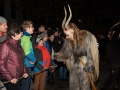 Krampuslauf 2016 Bregenz (72)