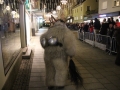 Krampuslauf Bregenz 2017 (14)