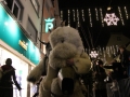 Krampuslauf Bregenz 2017 (149)