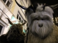 Krampuslauf Bregenz 2017 (152)