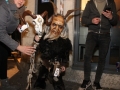 Krampuslauf Bregenz 2017 (163)