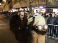 Krampuslauf Bregenz 2017 (18)