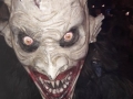 Krampuslauf Bregenz 2018 (17)