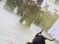 Krampuslauf Erkheim 2018 (22)