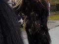 Krampuslauf Erkheim 2018 (30)