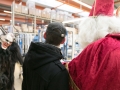 Nikolaus und Krampus Fa.Hymer (145)