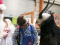 Nikolaus und Krampus Fa.Hymer (161)
