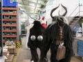 Nikolaus und Krampus Fa.Hymer (65)