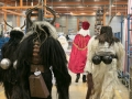 Nikolaus und Krampus Fa.Hymer (90)